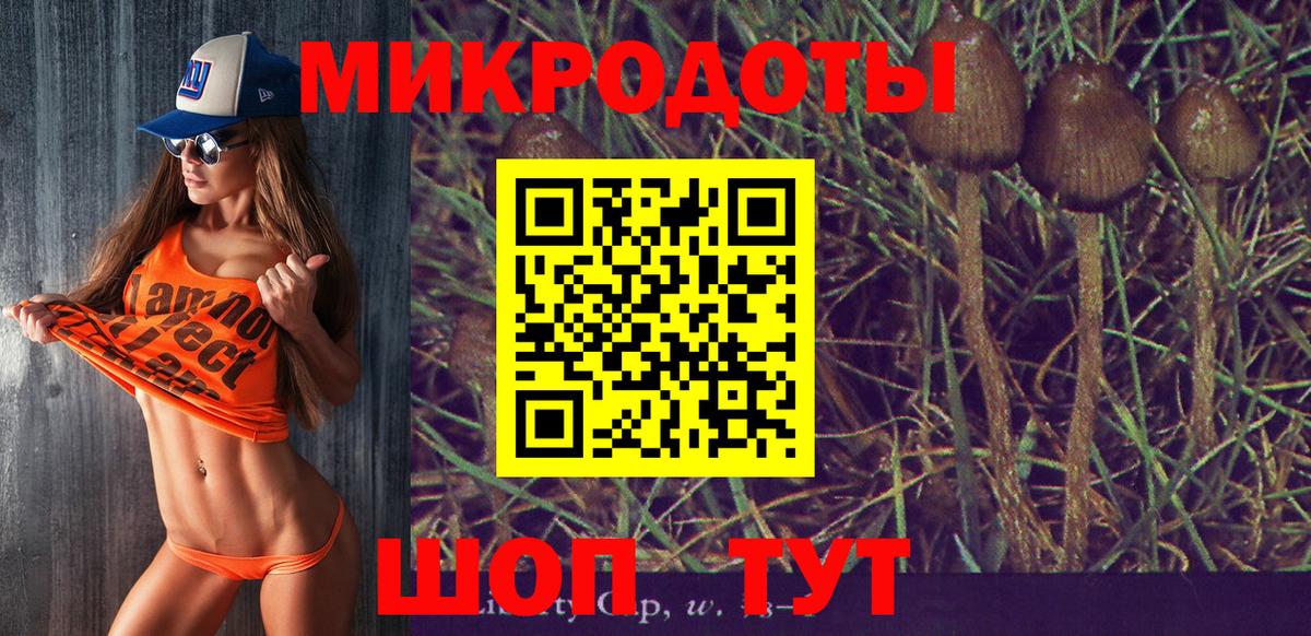 Галлюциногенные грибы GOLDEN TEACHER  Вход с VPN  Гагарин 